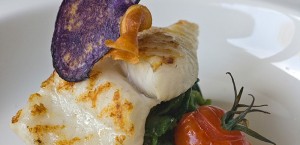 Max kookt - Kok aan huis - Den Haag